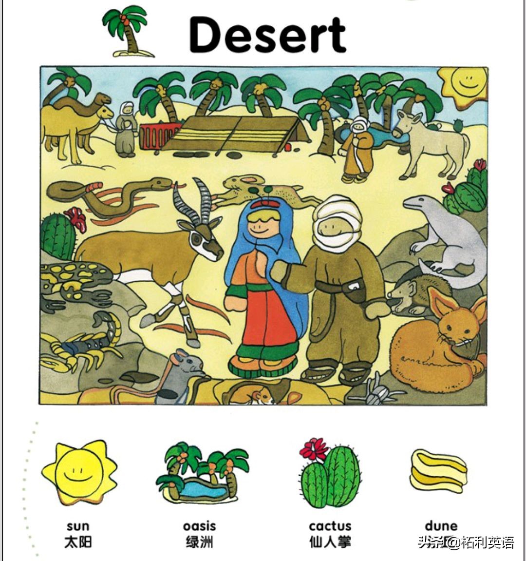 生活中常用的3000个英语单词短语,生活英语单词谐音大全