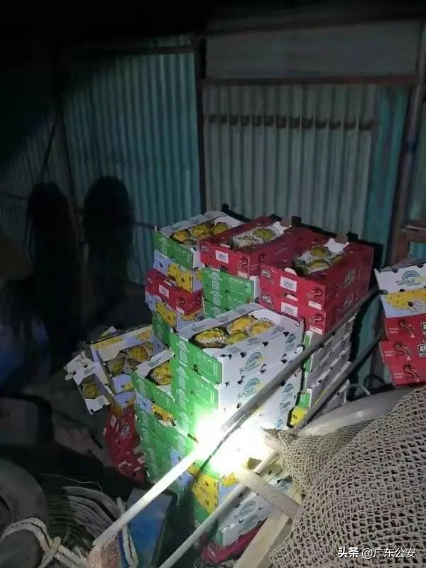 吃完火龙果后千万不要碰这几种,吃完火龙果千万别吃这三种