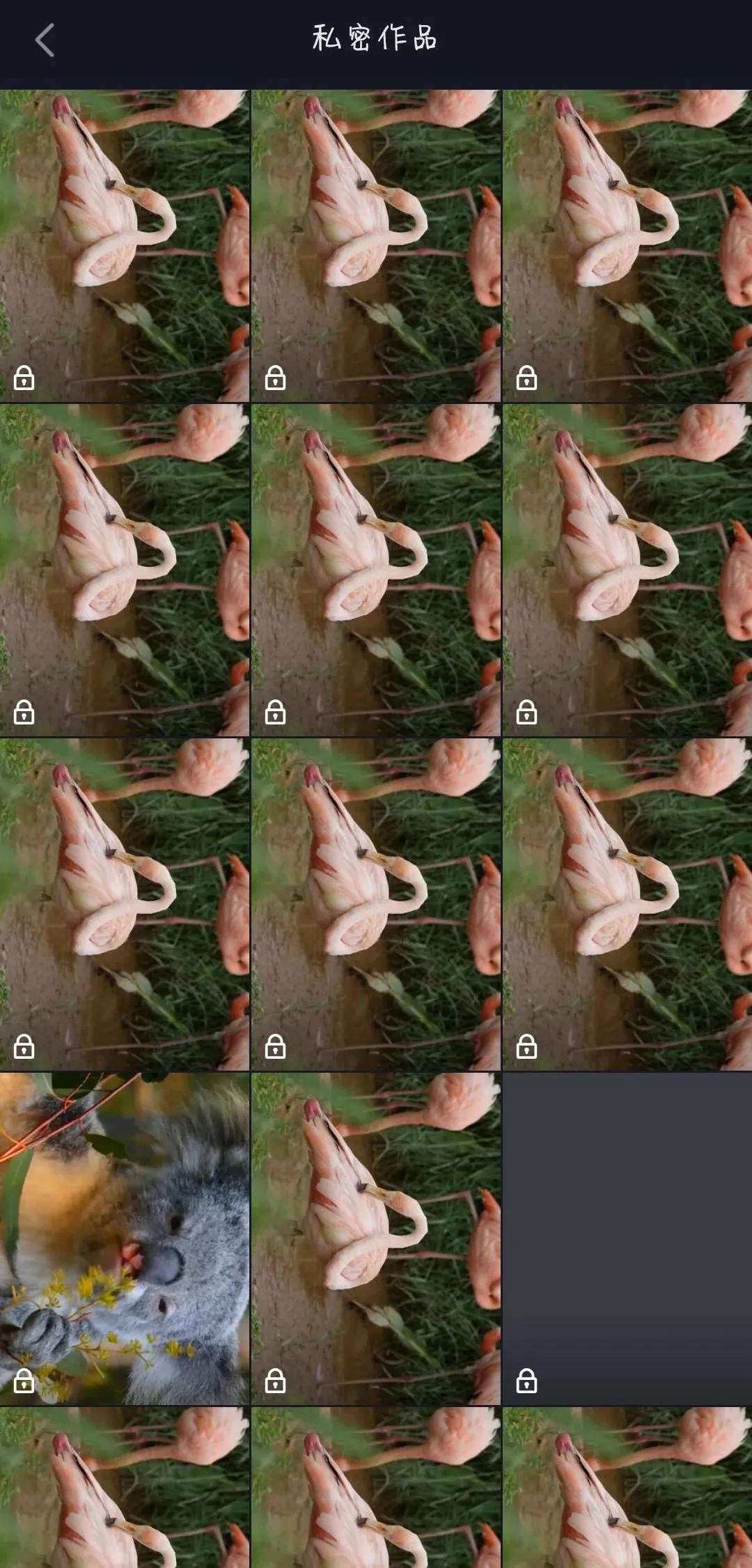 抖音视频测试的方法,抖音怎么让视频变快的教程