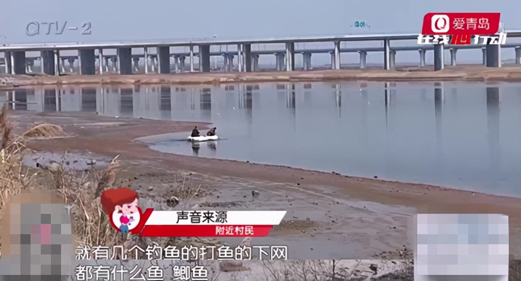 跨区域非法捕捞现象猖獗,一天能抓多少鱼