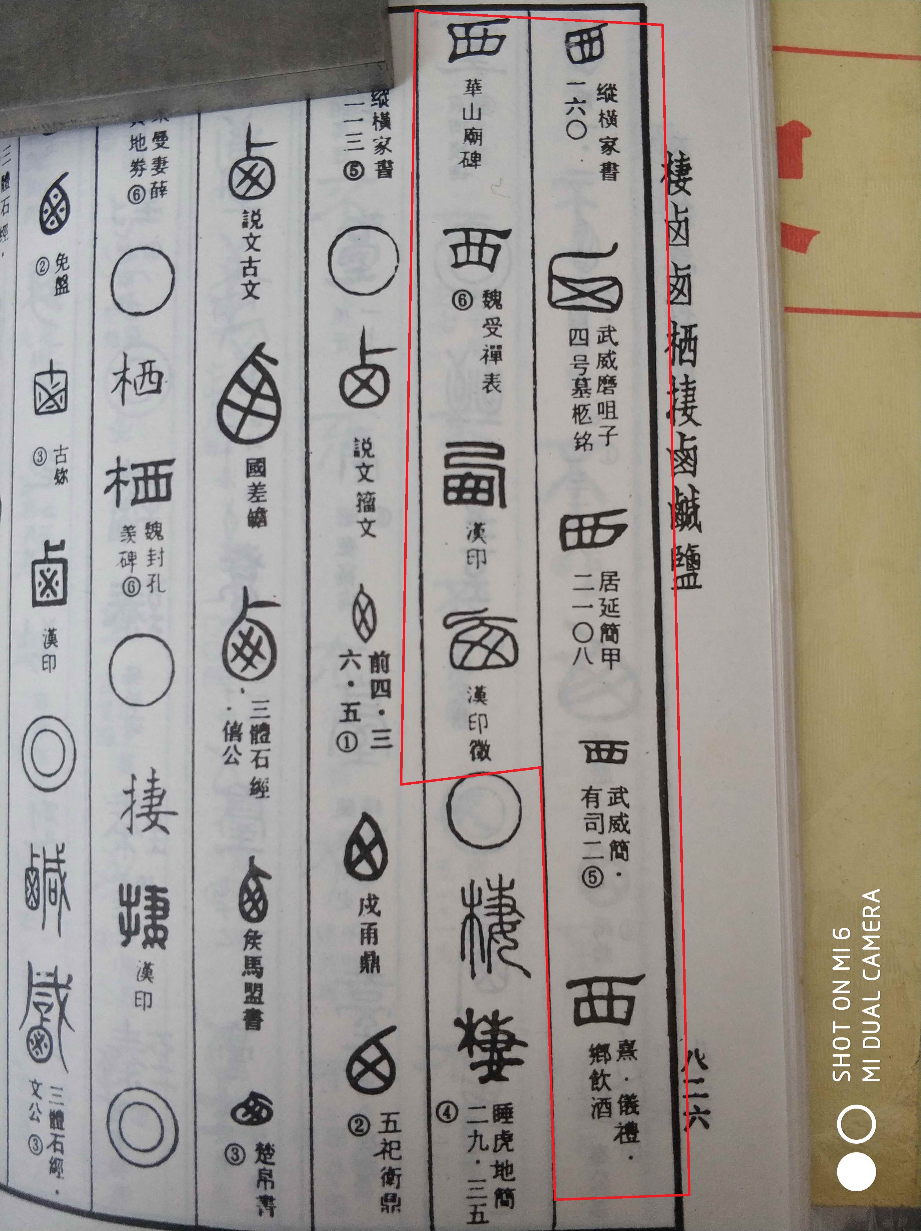 中国龙原型,中国龙的原型是什么