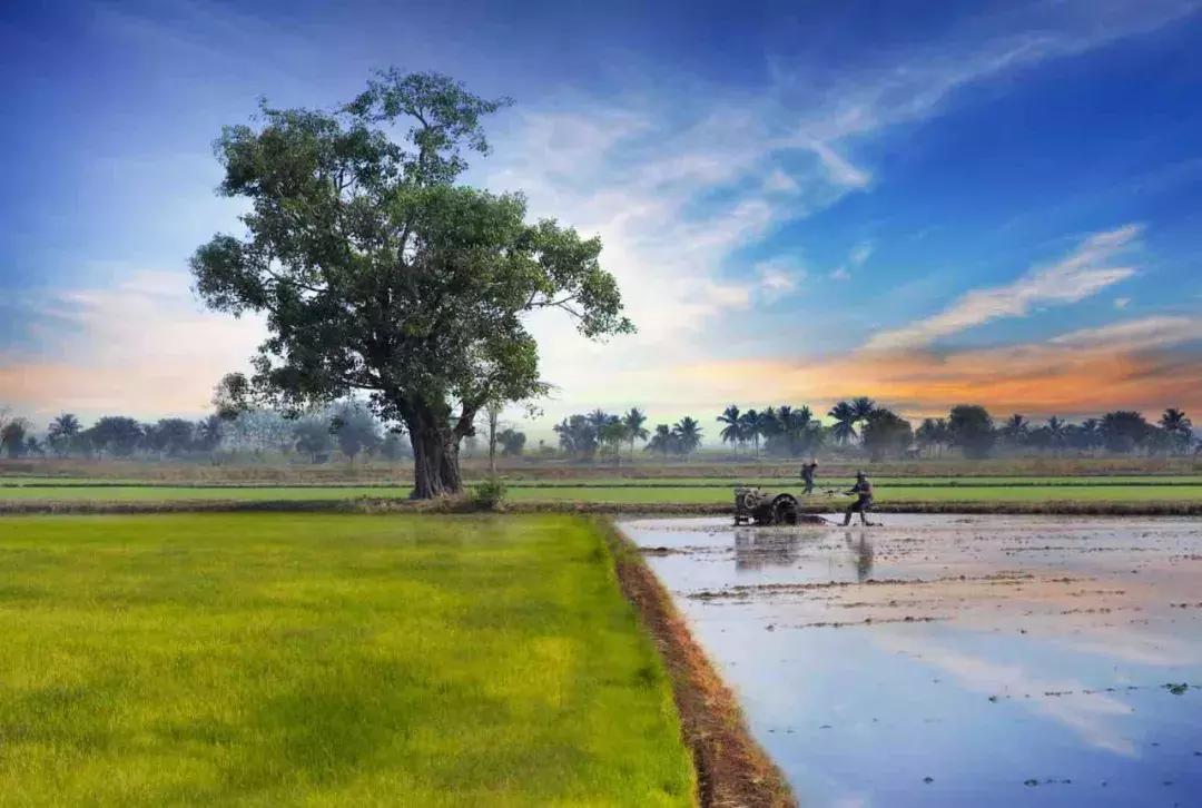 泰国几月份去旅游是最佳时间,泰国天气及泰国最佳旅游时间