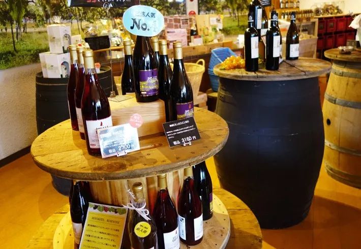 资深玩家推荐旅游,日本海滨度假胜地