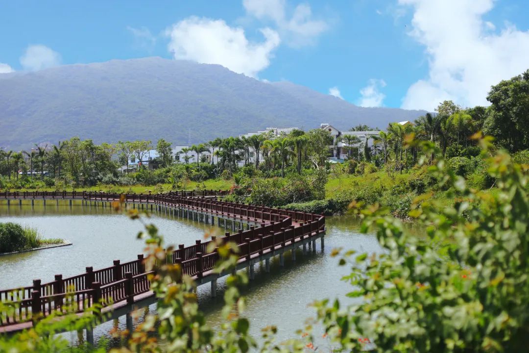 200元左右的民宿,三亚200平方米左右的民宿月租