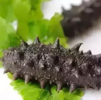 青岛西海岸30多项特产！这鱼还登上央视成了网红