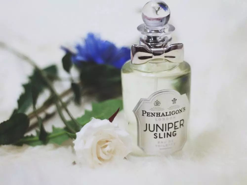 深秋入冬温暖又清冷的香水 (初秋清冷的香水)