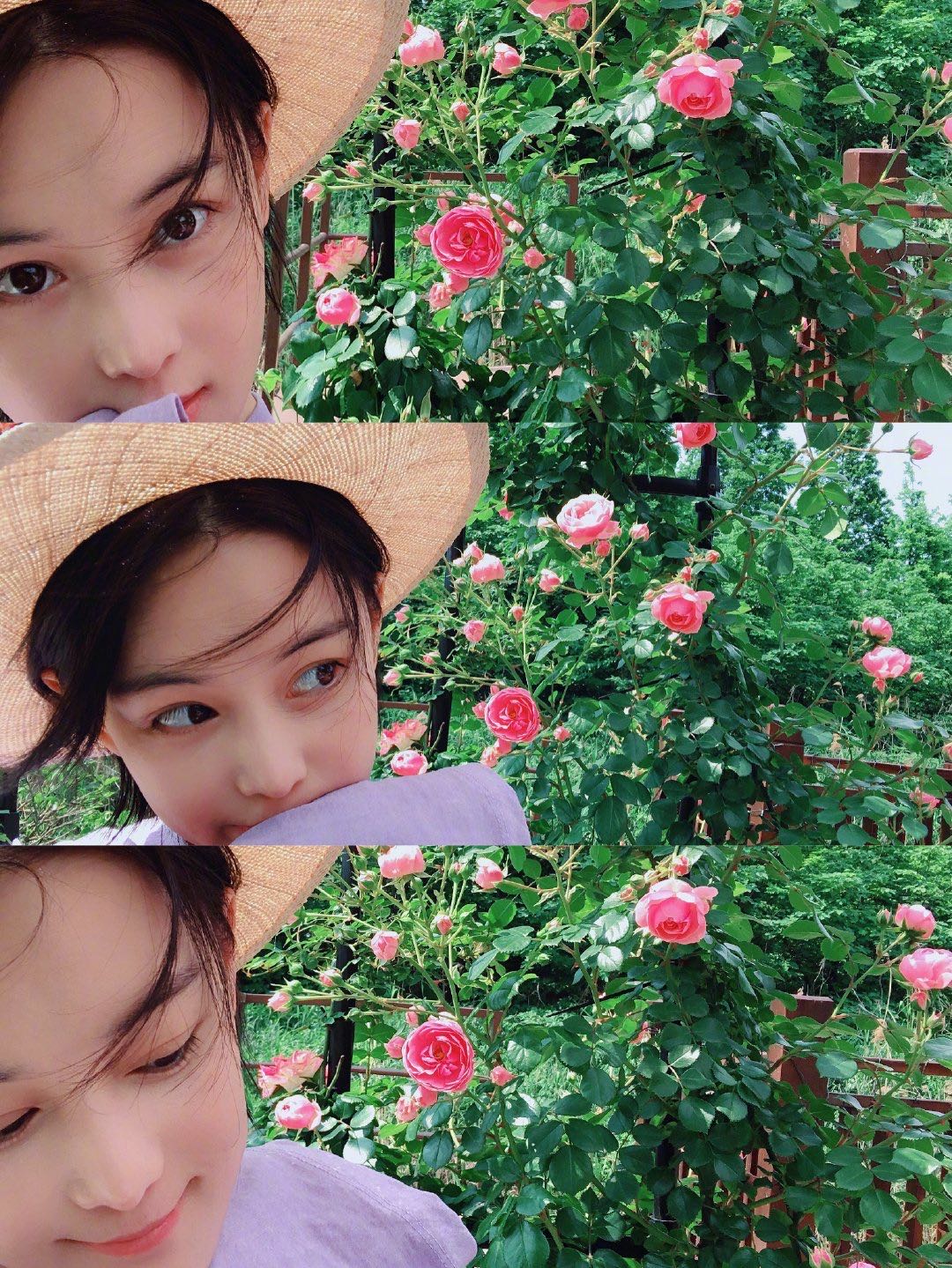 张馨予吴卓羲在一起多久,张馨予吴卓羲谈了几年