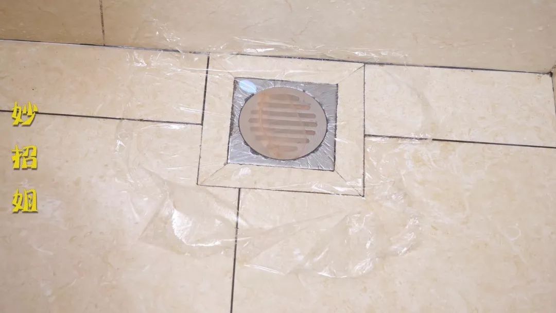 卫生间有黑色的小飞虫是怎么回事,家里的黑色小飞虫用什么药治