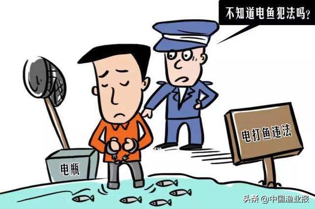 电鱼对莲藕有危害吗,电鱼的危害性有哪些