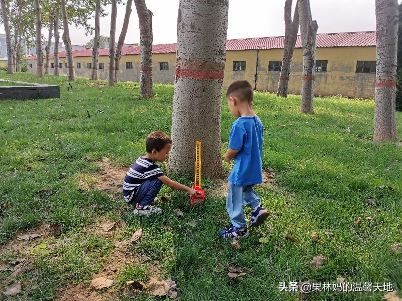 以娃的名义折腾家长怎么解决,以戏弄为目的逗孩子