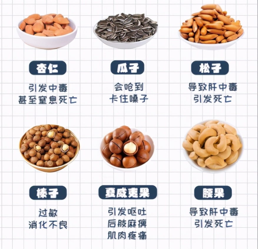 狗狗刚到家铲屎官关注事项,铲屎官必知的6个狗狗喂养好习惯