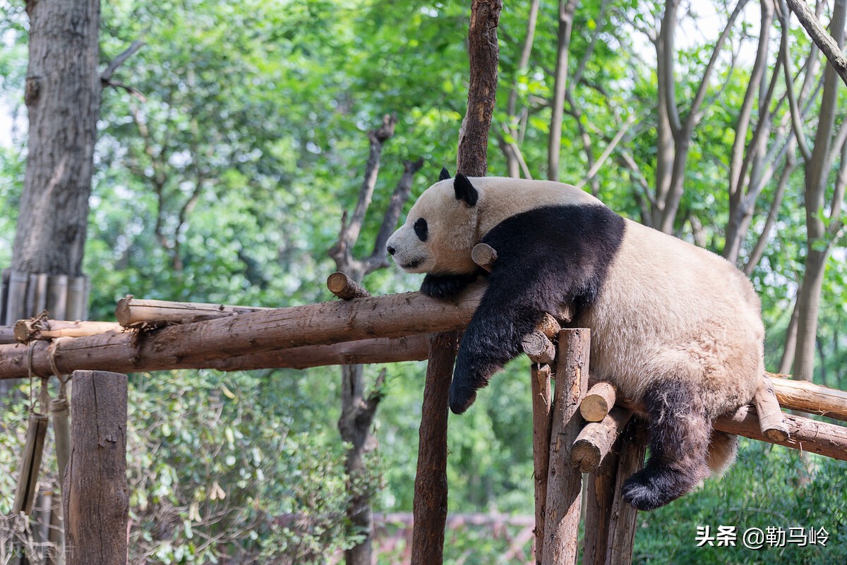 轨道轰炸机！“如来神掌”从天而降，回顾热血沸腾的导弹试验故事