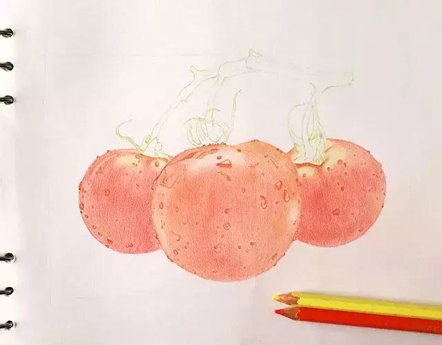 儿童彩铅画番茄,彩铅画写生番茄