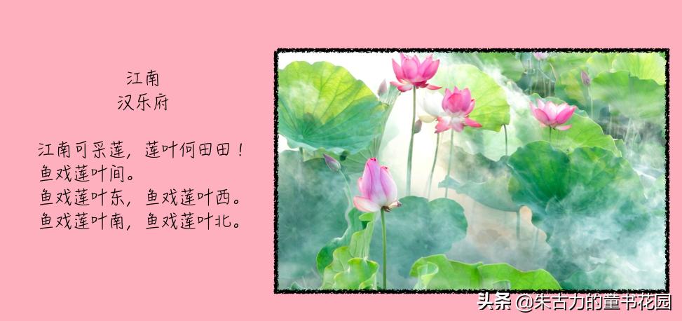 武亦姝诗词大会谈对诗词的感受,诗词大赛才女武亦姝