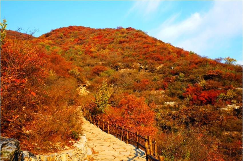 北京赏秋十大打卡地,北京赏秋