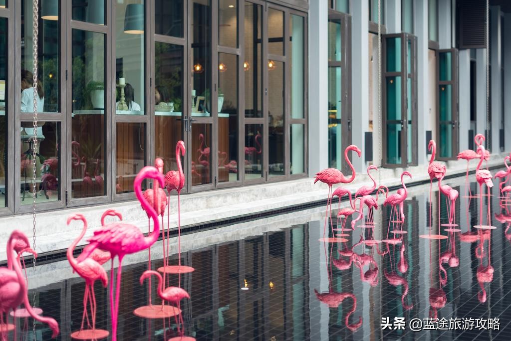 普吉岛1000-2000之间的酒店,普吉岛最值得住的酒店排名