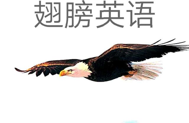 人教版初三英语第1单元语法知识,人教版初三英语语法优质课