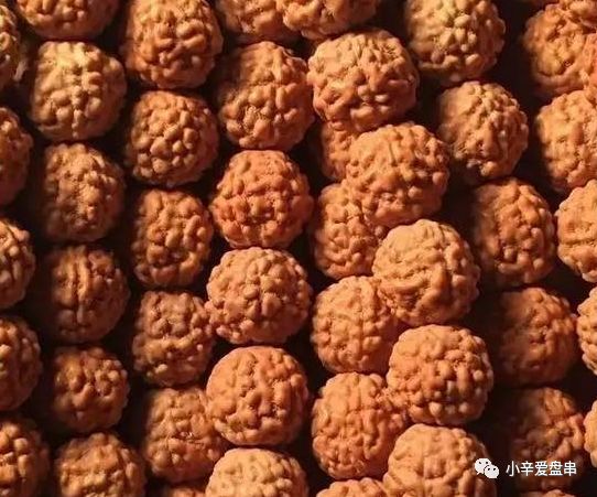 小金刚菩提纹路分类虎皮纹,小金刚菩提手串什么纹路的好