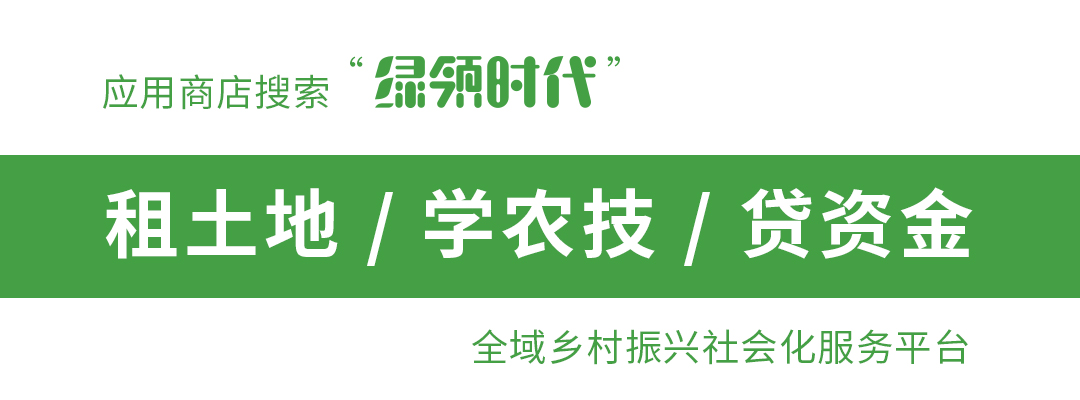 未确权的面积可以再次确权吗,土地确权上的亩数与实际不符咋办