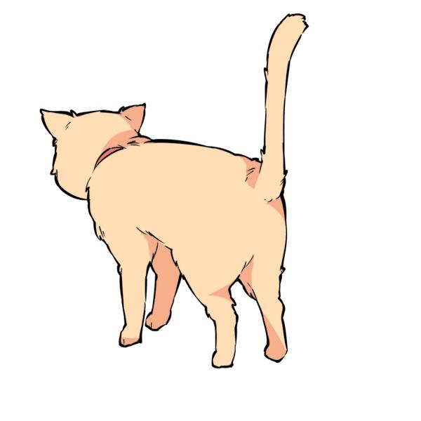 猫咪尾巴竖起来是什么意思,猫咪尾巴各种姿态含义