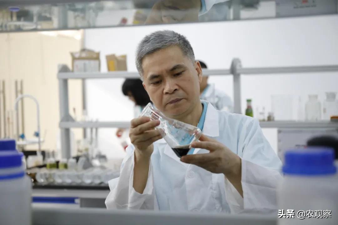 聚焦拉多美：好肥料成就农资人生传奇