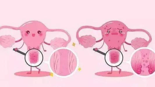 为啥看了医学科普感觉浑身是病,有关hpv病毒的科普