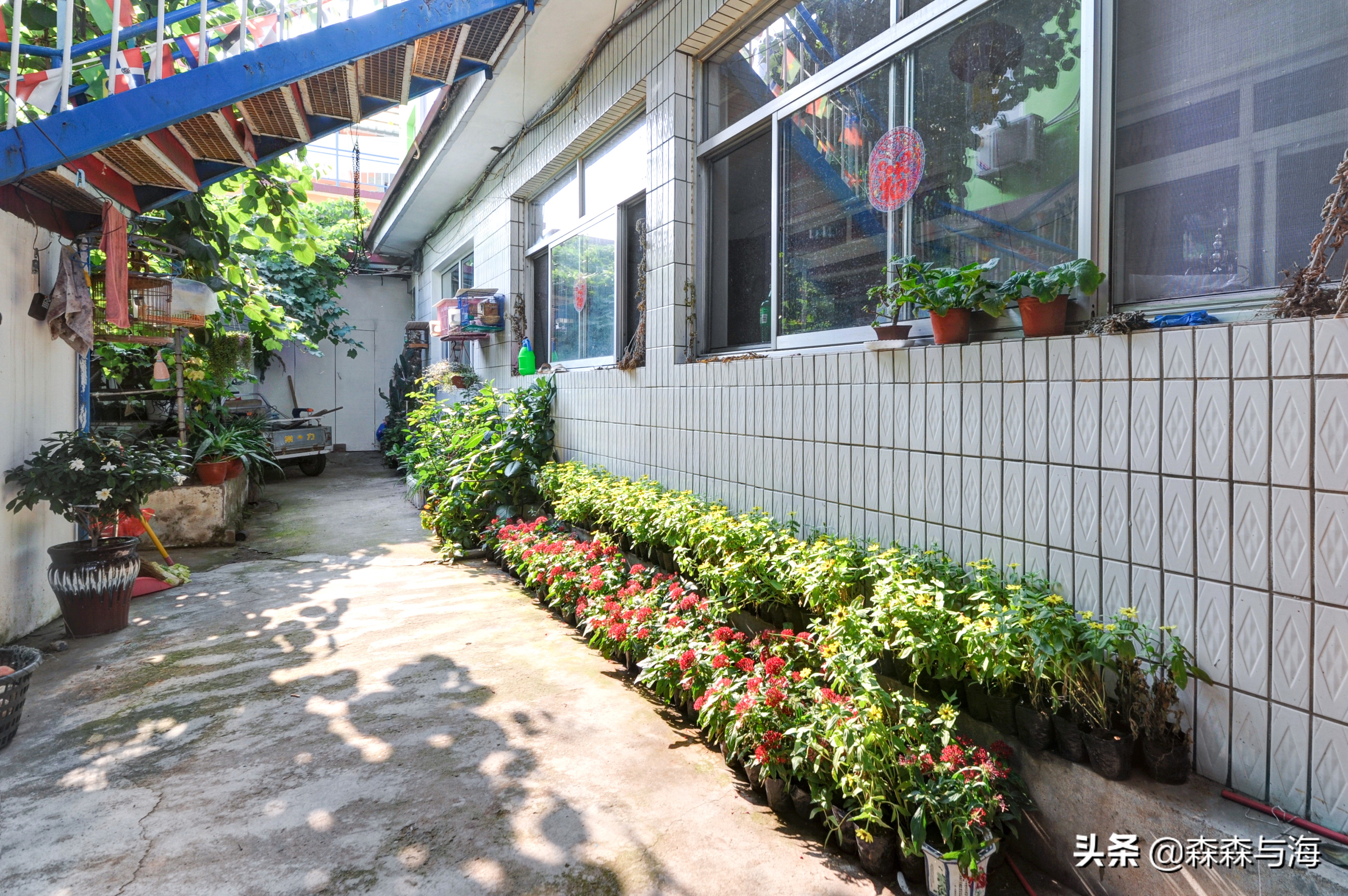 北戴河农家乐住一晚多少钱,北戴河民俗小院1000元