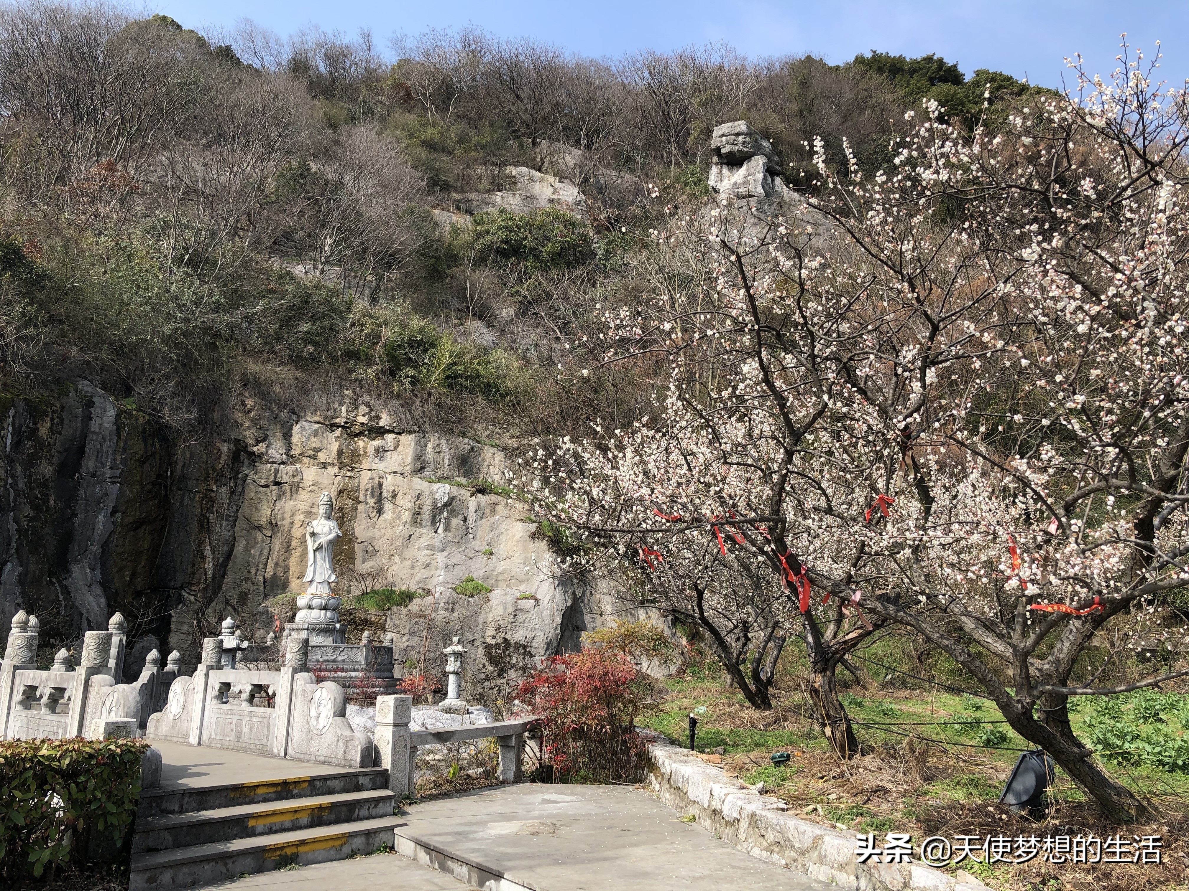 苏州太湖三山岛景区,苏州太湖的三山岛有风景吗