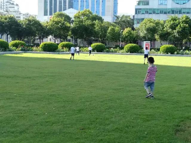 晨练即景七绝,小区早晨风景七绝诗