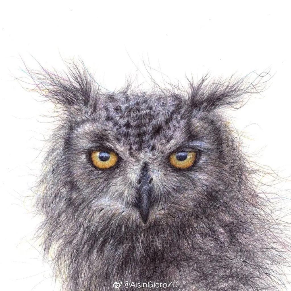 90后小伙用笔画画,九零后小伙靠画肖像漫画走红网络