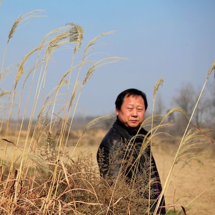 念你如昔美文,想你依旧念你如初美文