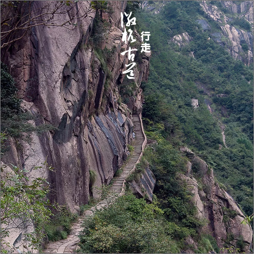 上海清静的旅游景点,上海周边清静的地方