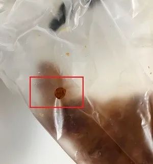 到全国最大的面包店，感受不要脸；吃牛角包之神，练习翻白眼