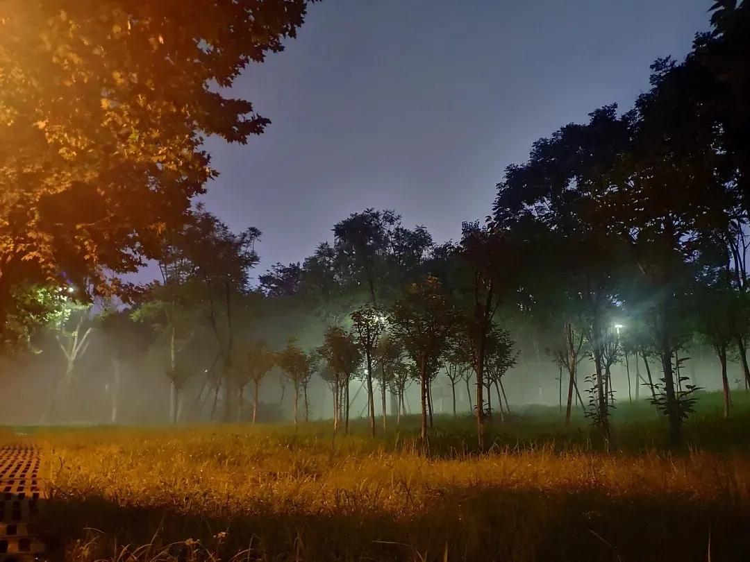 成都金融城最高的房价是多少,成都金融城改善楼盘