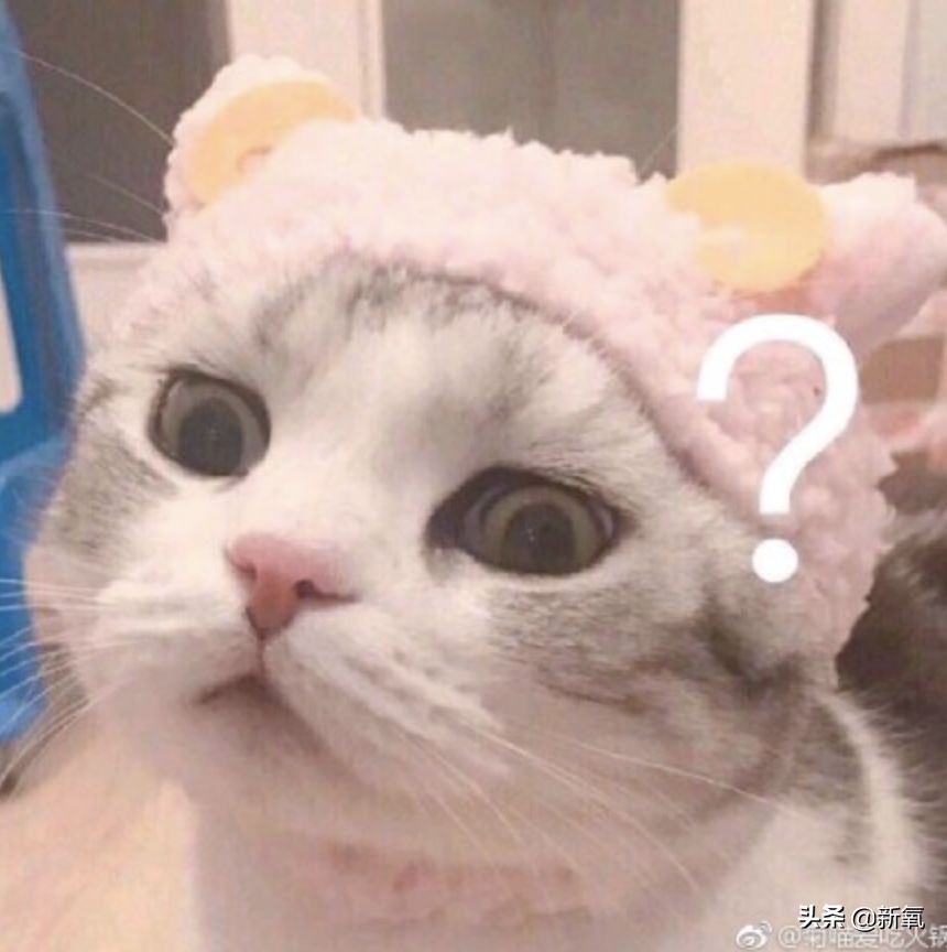 张柏芝最崩溃的时刻,张柏芝连续16天没醒