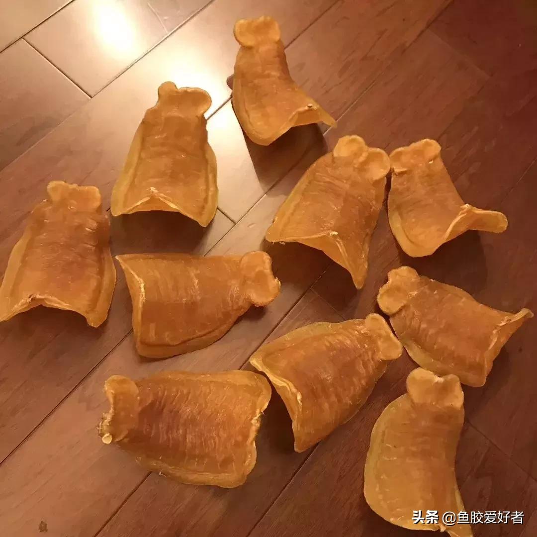 五大顶级鱼胶赤嘴鳘鱼胶,五大赤嘴鱼胶