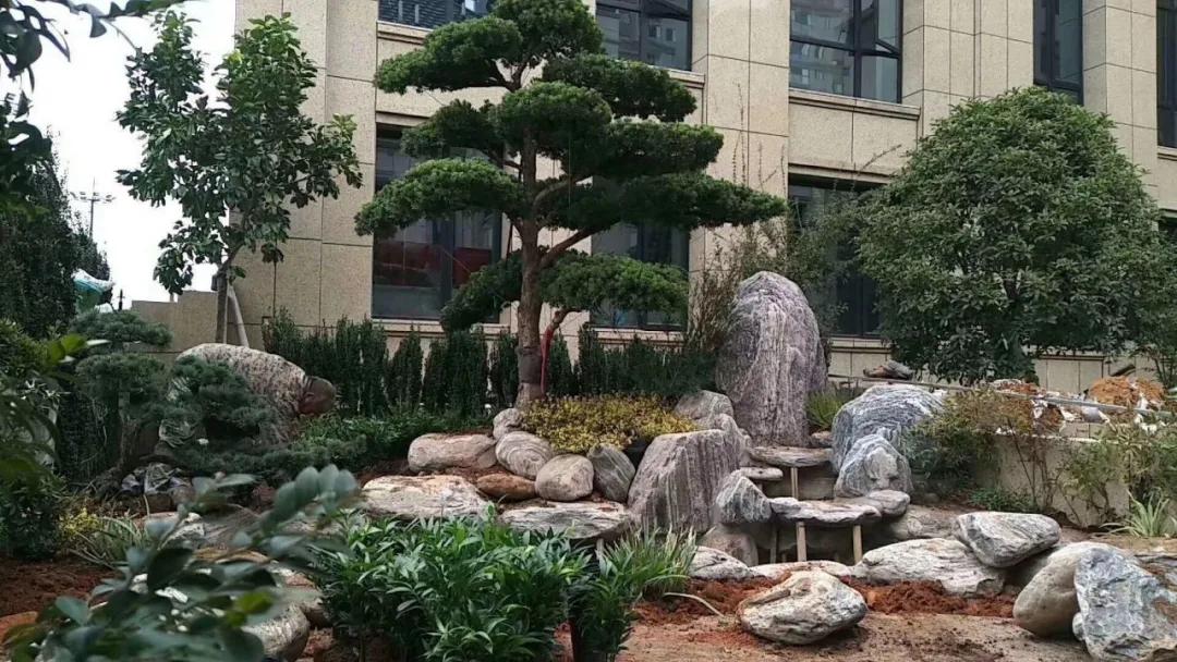 青龙石园林景观假山造景石,园林景观造景假山鱼池庭院