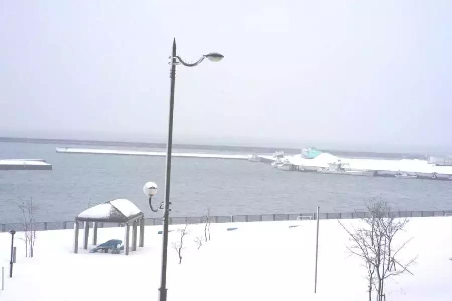 上海雪乡五日游攻略,日本雪乡一日游多少钱