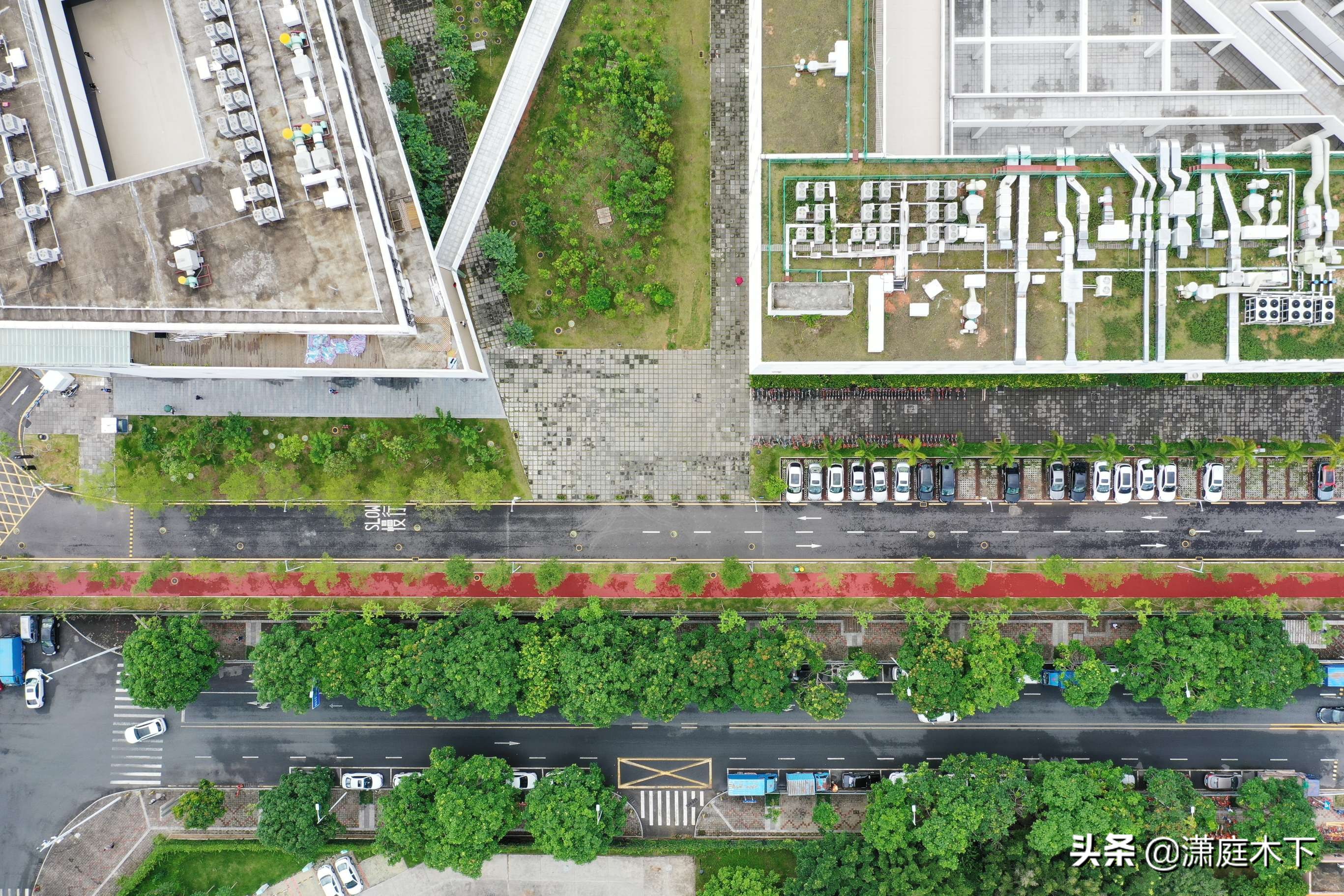 鹏城风光杂集，海与大学