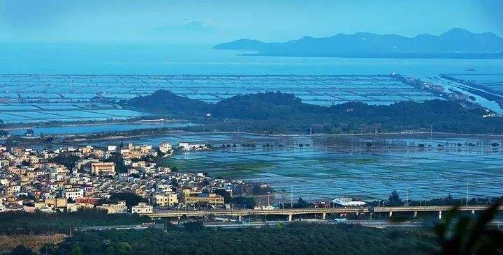 开往春天的广东列车,开往春天的列车是开往哪的