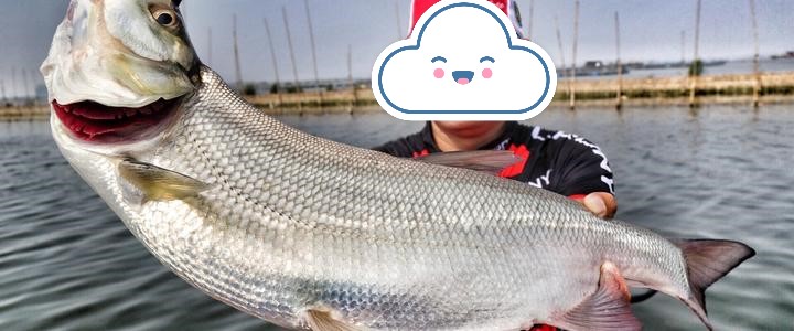 路亚怎么样才能在自然水域钓上鱼,路亚到底怎么样才能钓到鱼