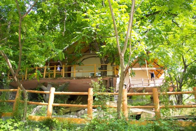 秦岭九天山,秦岭九天山图片大全