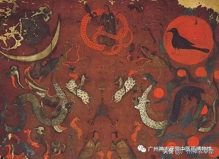 艸堂｜传说中可以挂太阳的树，草堂有