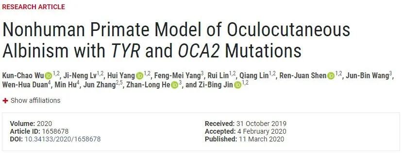 发现新型白化眼病猕猴模型，有望突破治疗人类眼皮肤白化病瓶颈|金子兵和占龙团队