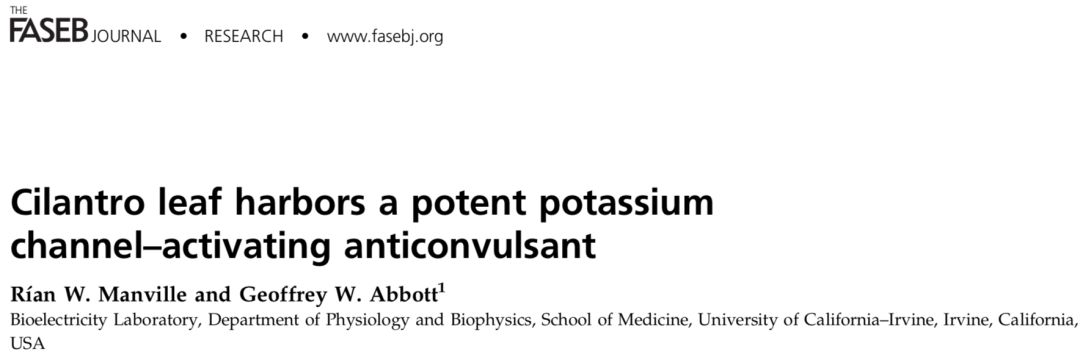 香菜癫痫,香菜治癫痫怎么吃