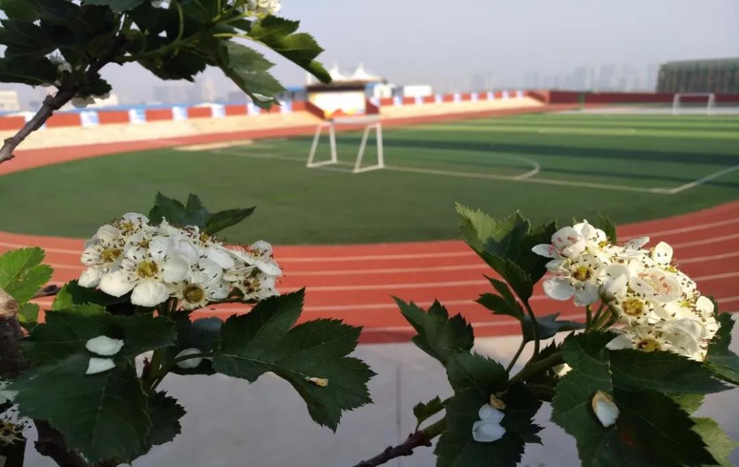 航天城第二小学教育,西安市航天城第三小学