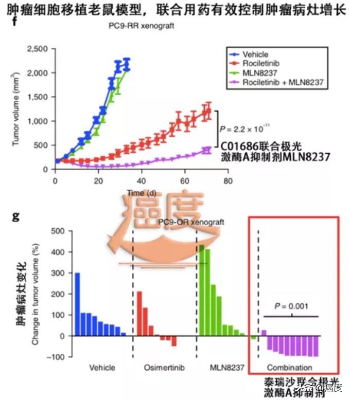 抗肿瘤靶向药物egfr,egfr靶向药物易瑞沙