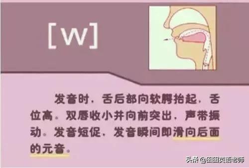 基础英语48个国际音标详解，赶紧来学习！