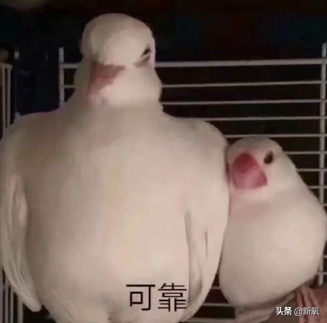 去日本买什么药妆好,去日本必买大牌化妆品