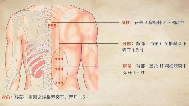 腰椎间盘突出症的自我疗法，跟着专家学，有些在家就能做